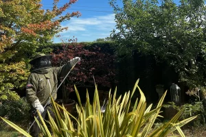 Pest control technician preparing a treatment lance before removing a wasp nest at a property in Lower Westwood near Bath