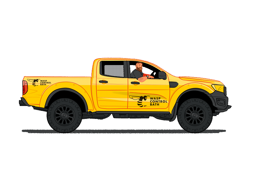 a yellow pickup truck - wasp control bath
